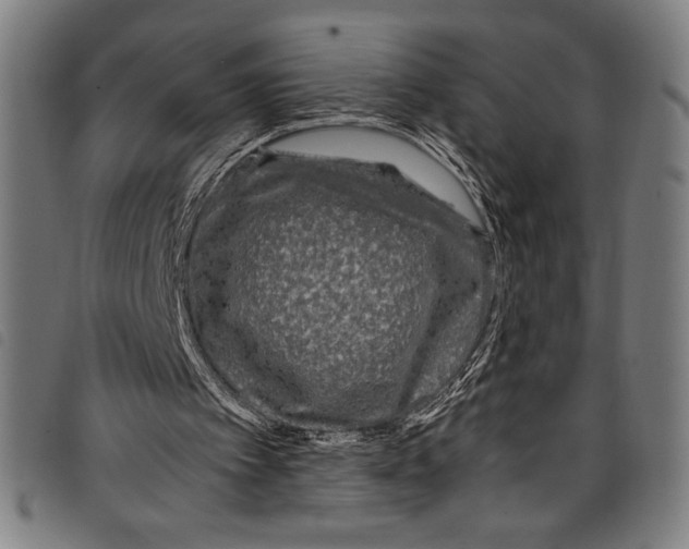 X0000097760097200804041134