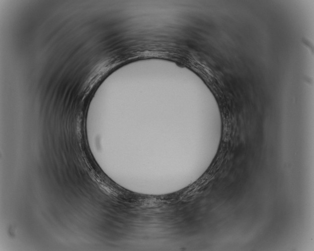 X0000097760098200804041134