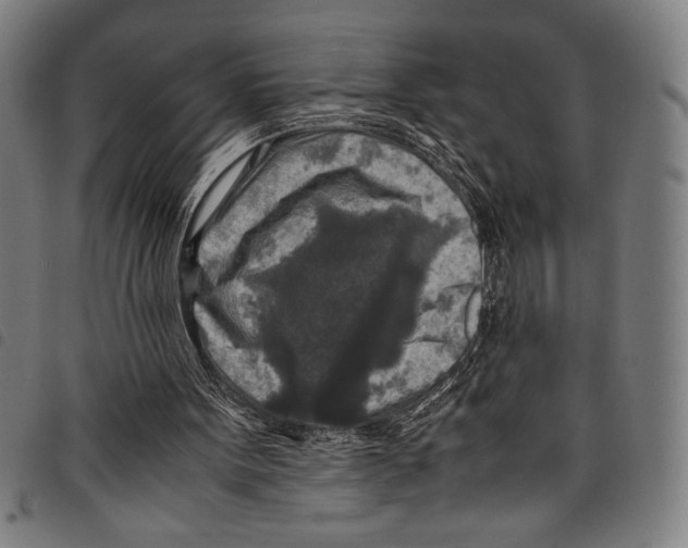 X0000097760099200804041134