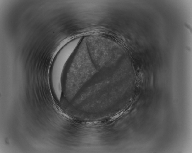 X0000097760100200804041134