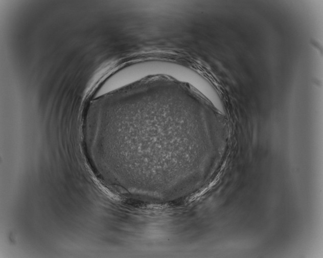 X0000097760101200804041134