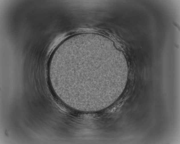 X0000097760103200804041134