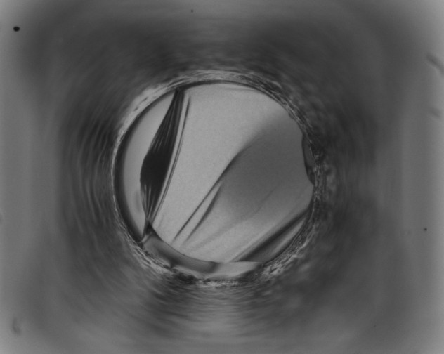 X0000097760104200804041134