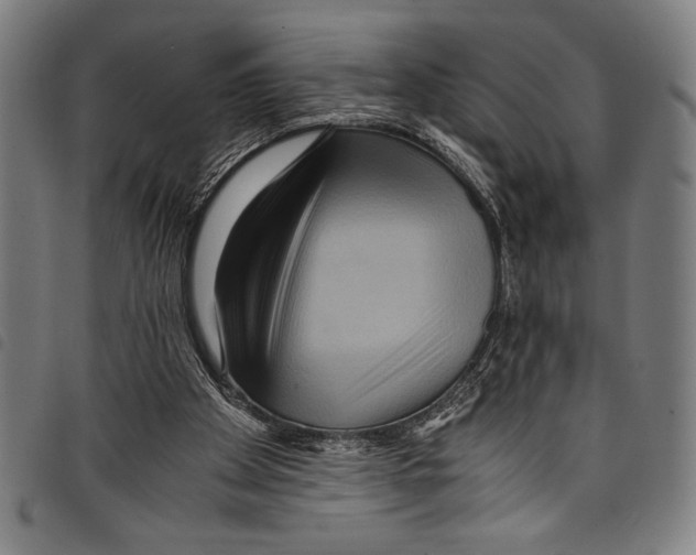 X0000097760105200804041134