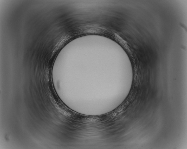 X0000097760106200804041134