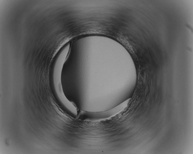 X0000097760108200804041134