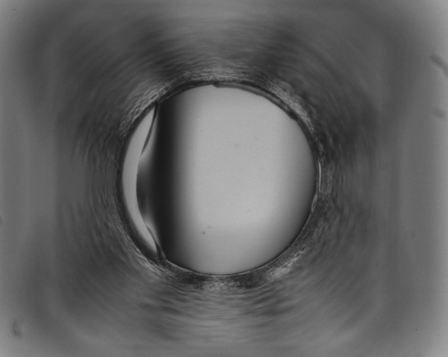 X0000097760109200804041134