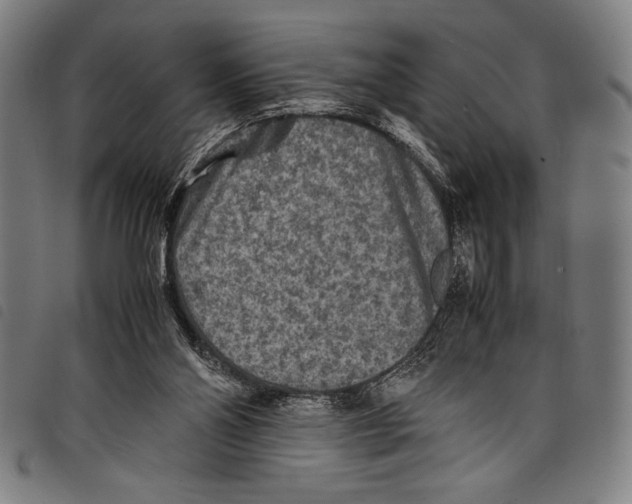 X0000097760110200804041134