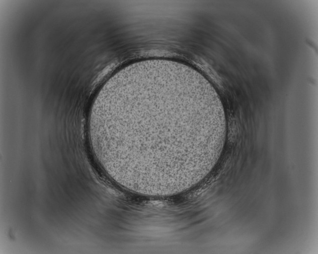 X0000097760111200804041134