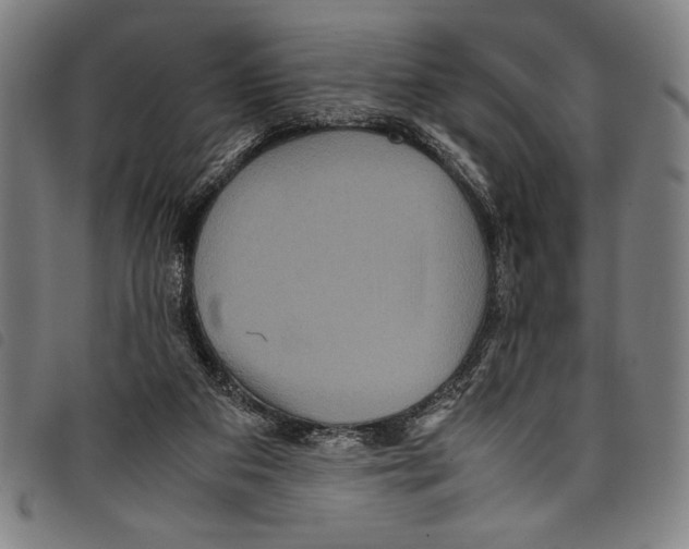 X0000097760113200804041134