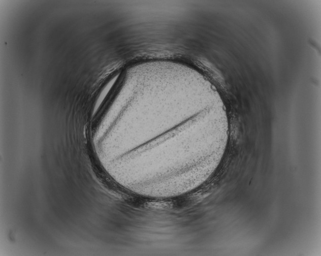 X0000097760115200804041134