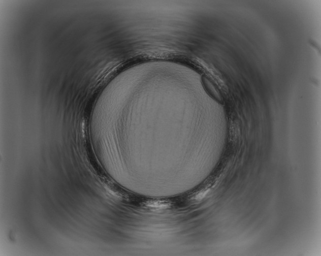 X0000097760117200804041134