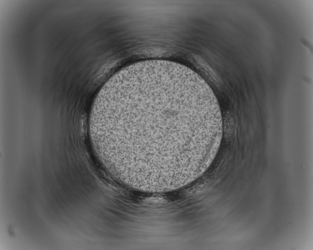 X0000097760119200804041134