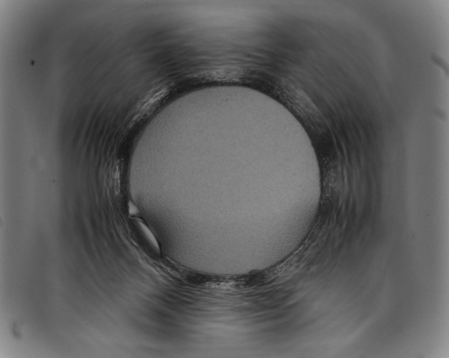 X0000097760120200804041134