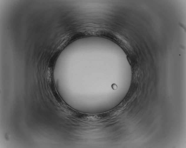 X0000097760121200804041134