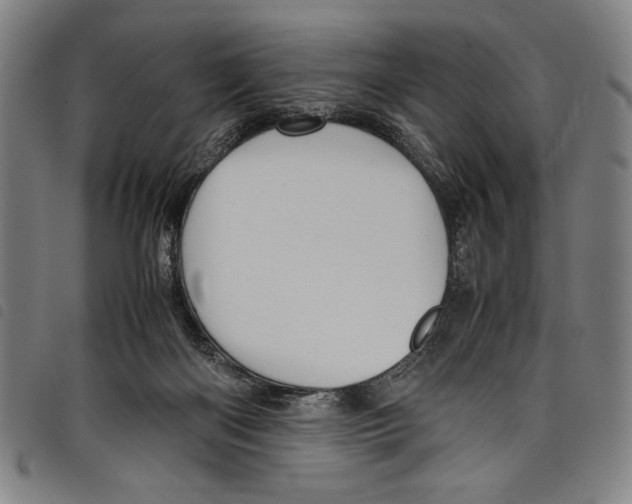 X0000097760122200804041134