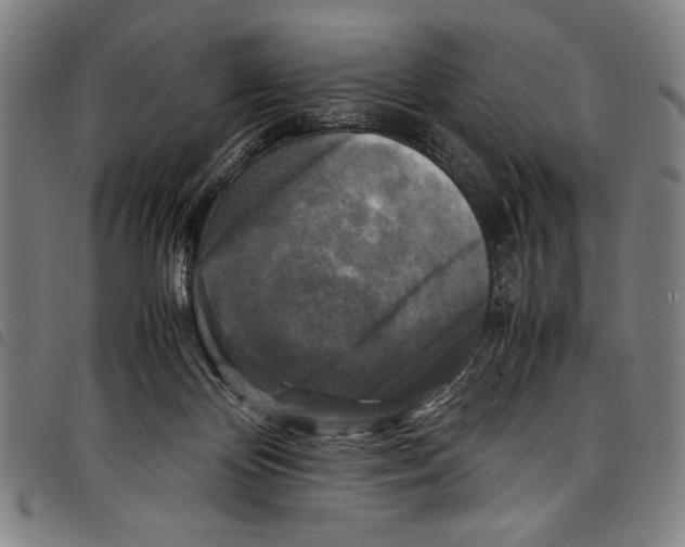 X0000097760124200804041134