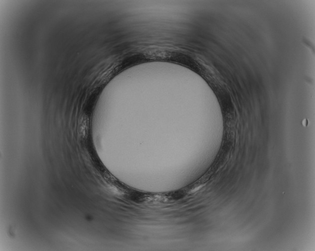 X0000097760125200804041134