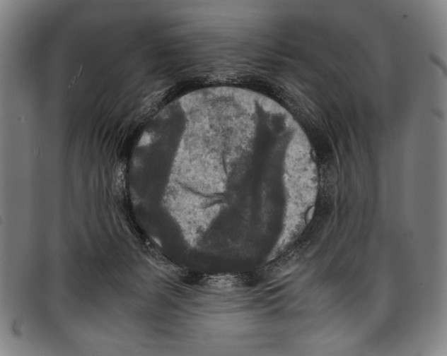 X0000097760127200804041134