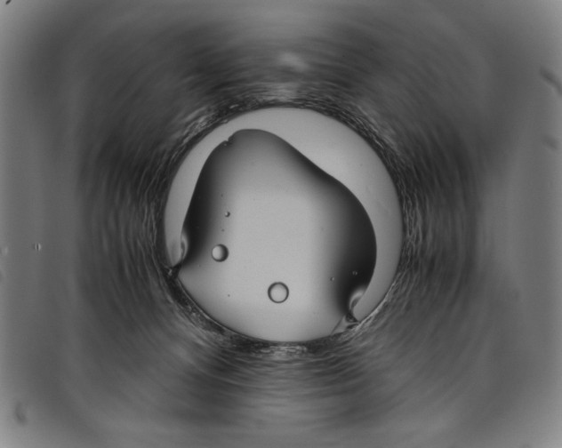 X0000097760128200804041134