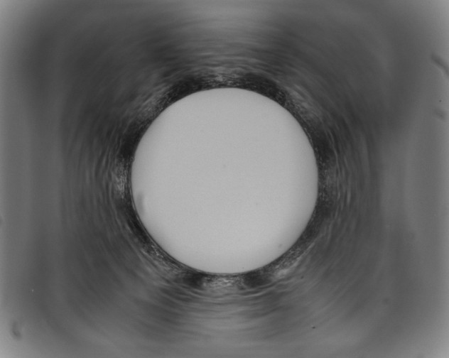 X0000097760129200804041134