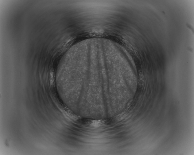 X0000097760130200804041134