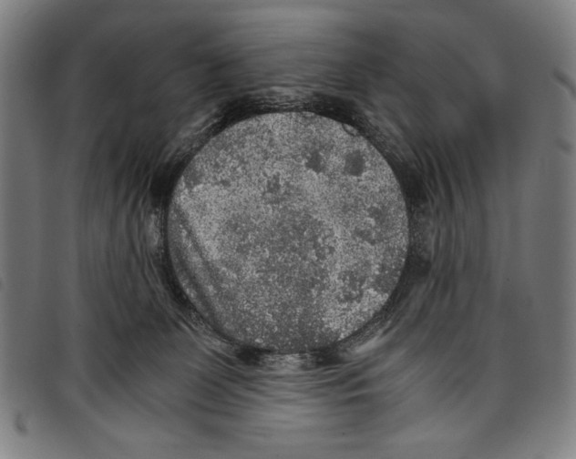 X0000097760131200804041134