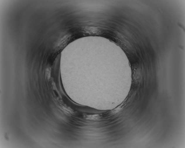 X0000097760132200804041134