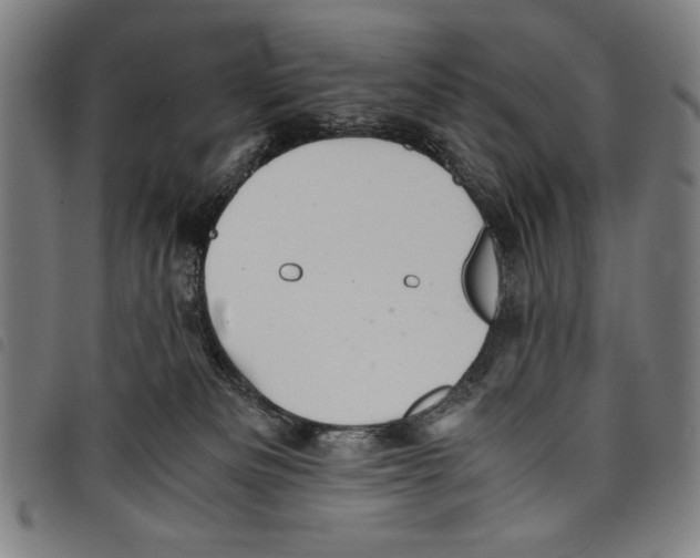 X0000097760133200804041134