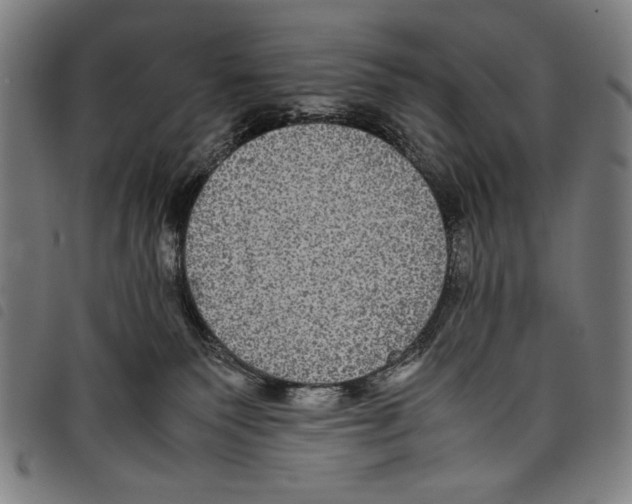 X0000097760135200804041134