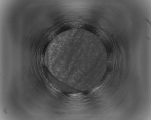 X0000097760137200804041134