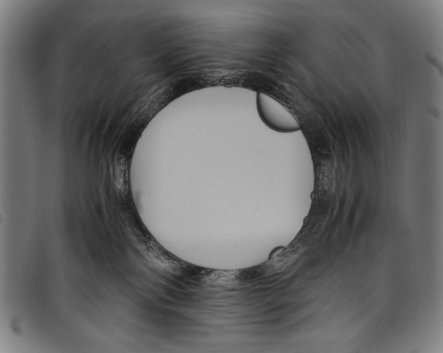 X0000097760138200804041134