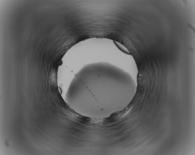 X0000097760143200804041134