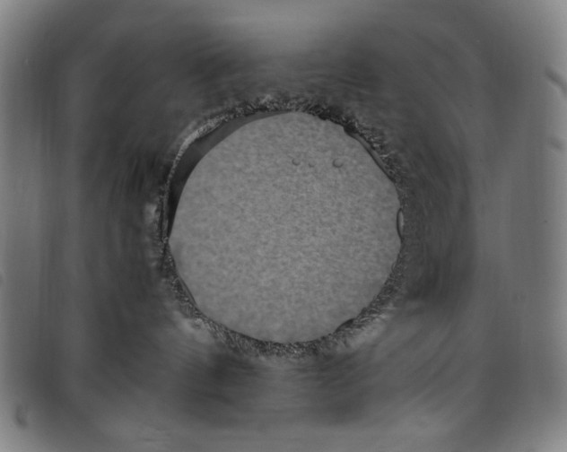 X0000097760144200804041134