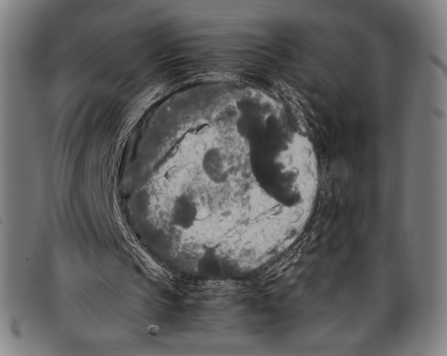 X0000097760145200804041133