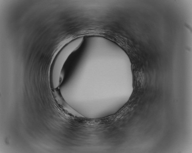 X0000097760148200804041133