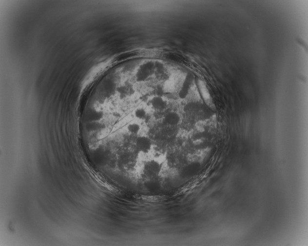 X0000097760149200804041133