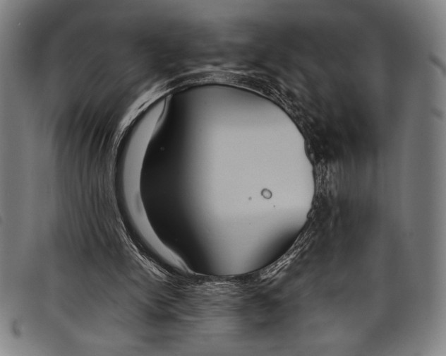 X0000097760150200804041133