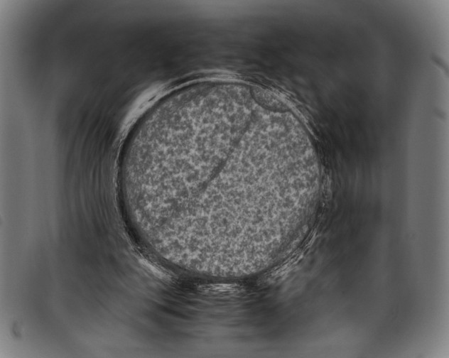 X0000097760151200804041133