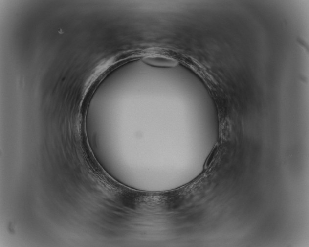 X0000097760152200804041133