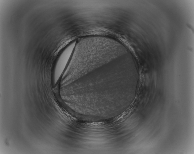 X0000097760154200804041133