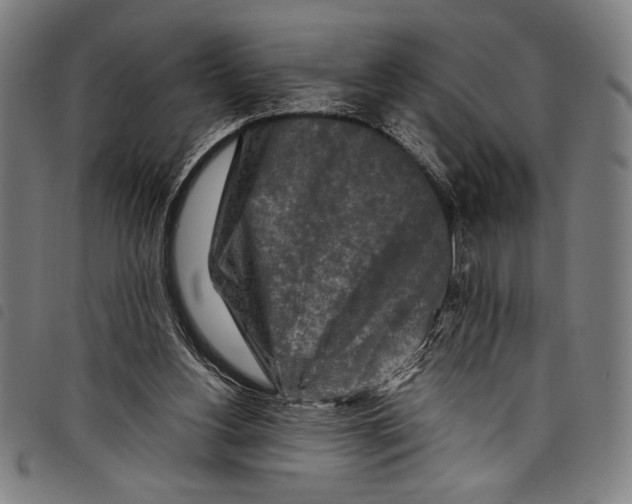 X0000097760156200804041133