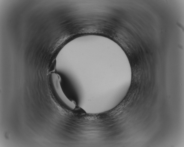 X0000097760160200804041133