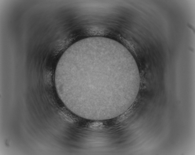 X0000097760162200804041133