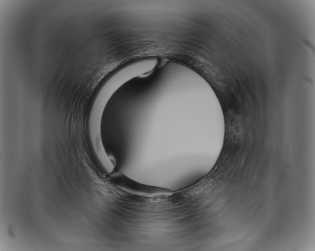 X0000097760164200804041133