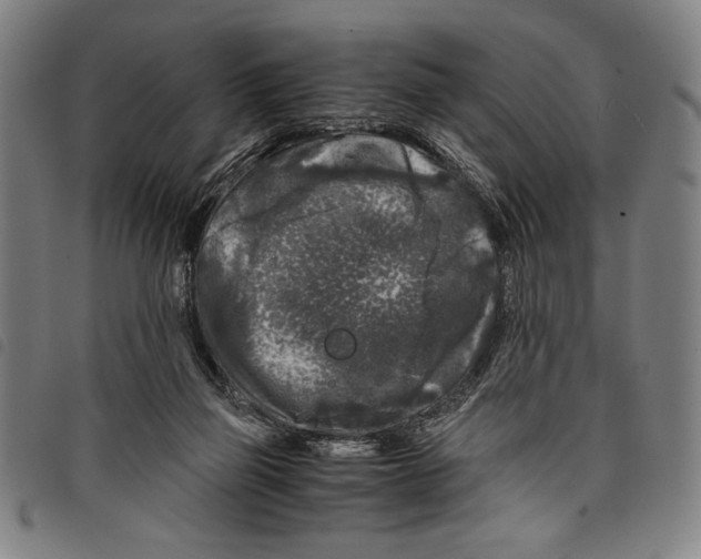 X0000097760165200804041133