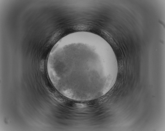 X0000097760167200804041133