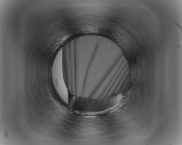 X0000097760168200804041133