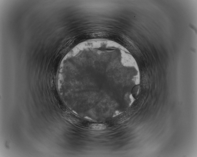 X0000097760169200804041133