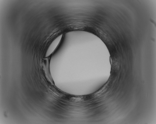 X0000097760170200804041133